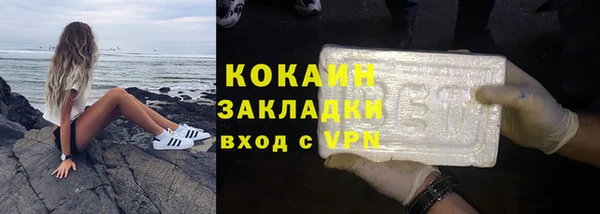 шишки Братск