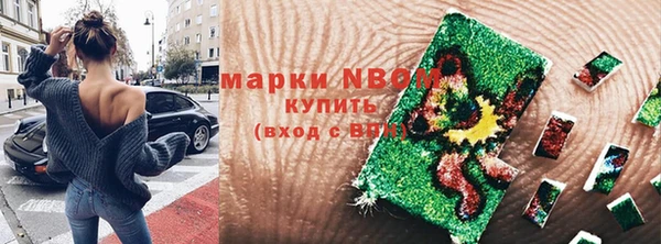 шишки Братск
