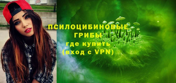 шишки Братск