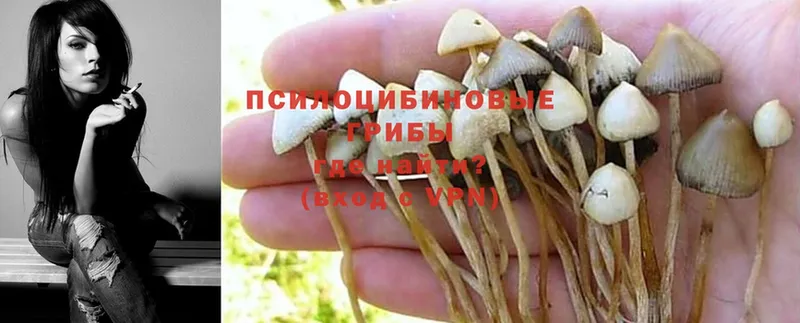 Галлюциногенные грибы Magic Shrooms  KRAKEN онион  Емва 