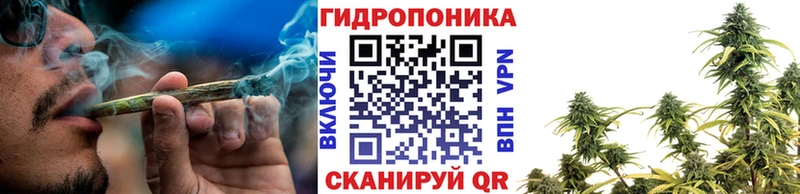 Конопля VHQ  kraken ссылки  Емва 